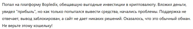 Bopledix 1 скрин