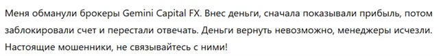 Gemini Capital FX 3 скрин
