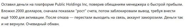 Public Holdings Inc 1 скрин