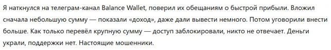 Balance Wallet 1 скрин