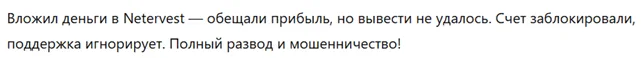 Netervest 3 скрин