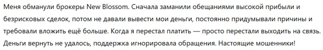 New Blossom 3 скрин