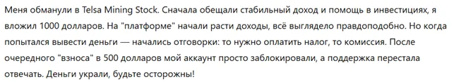 Telsa Mining Stock 3 скрин