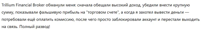 Trillium Financial Broker 3 скрин