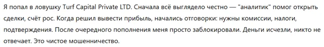 Turf Capital Private LTD 3 скрин